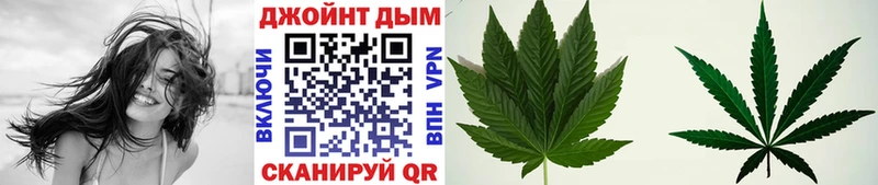 закладка  Кашира  Каннабис план 